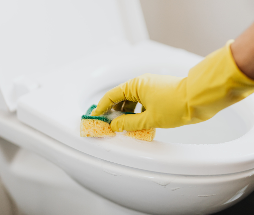 Jasa Cleaning Service Cuci WC