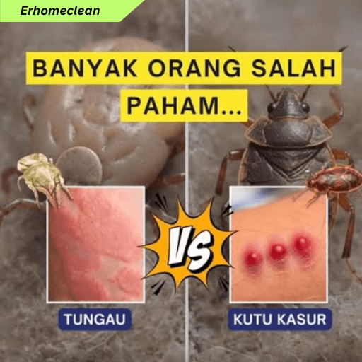 Ilustrasi Jasa Hydrovacuum Tungau Kasur